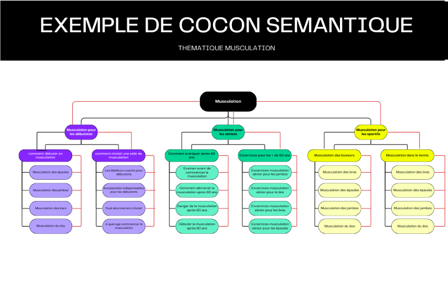 exemple schéma cocon sémantique SEO